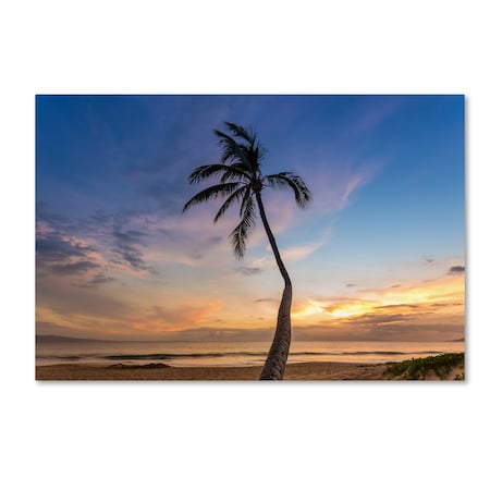 Pierre Leclerc 'Sunset Palm Tree' Canvas Art,30x47